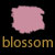 Lipstick: Blossom